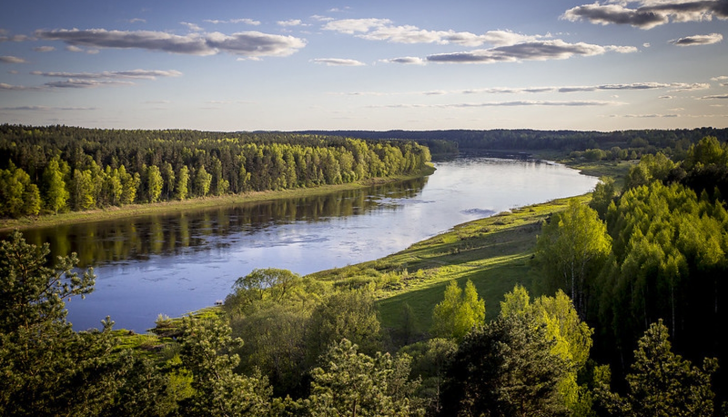 Latvijas dabas skats - Daugavas loki