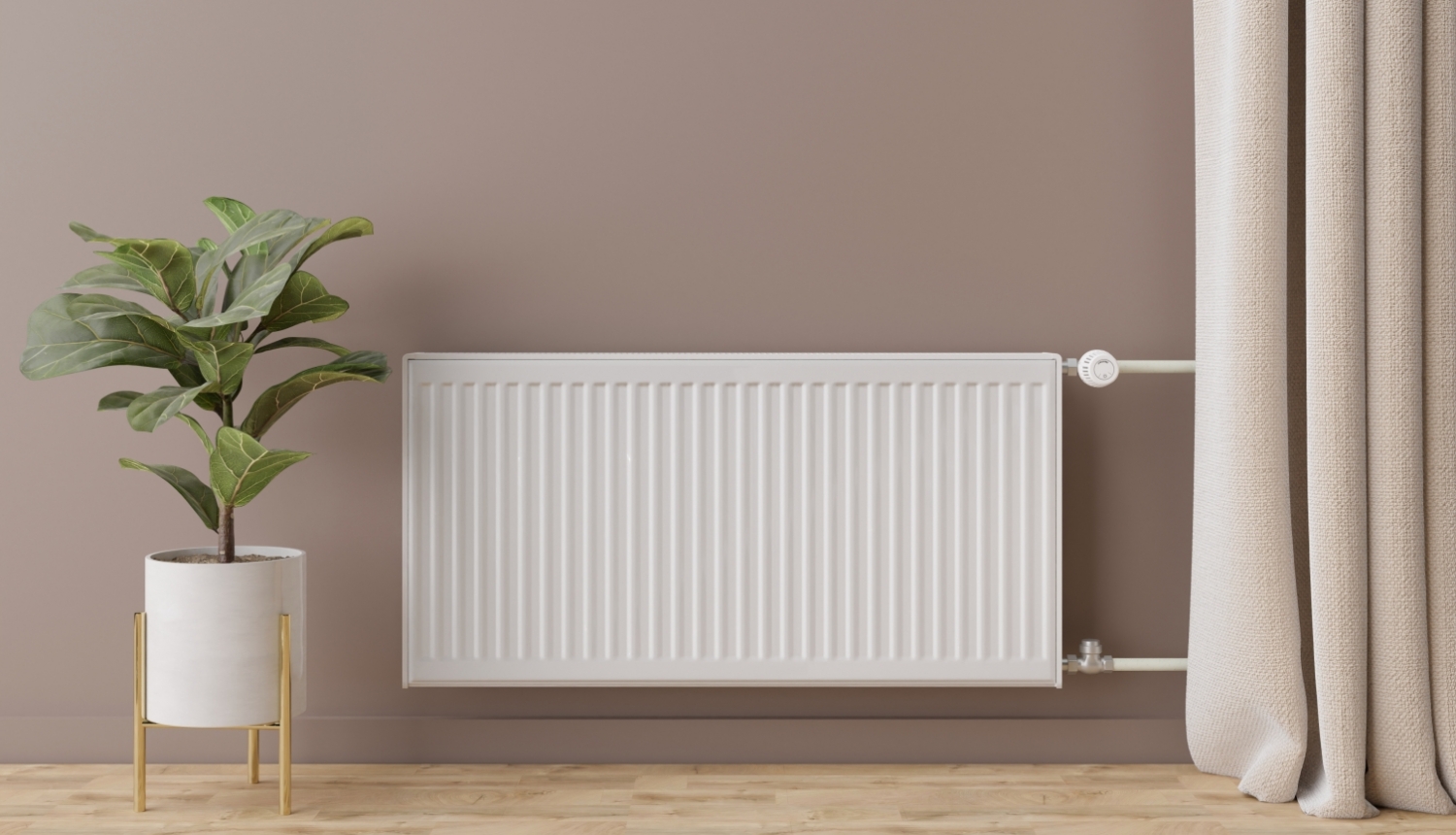 Radiators. Kreisajā pusē puķu pods ar zaļu augu.